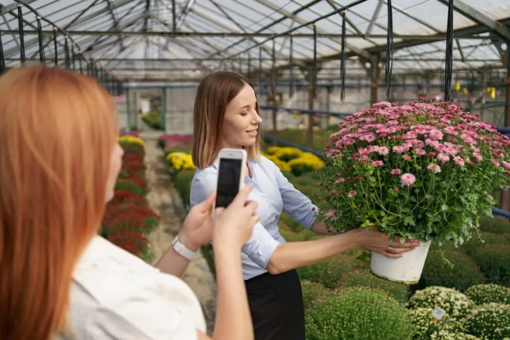 Choix taille idéale des photos Instagram pour une audience spécifique