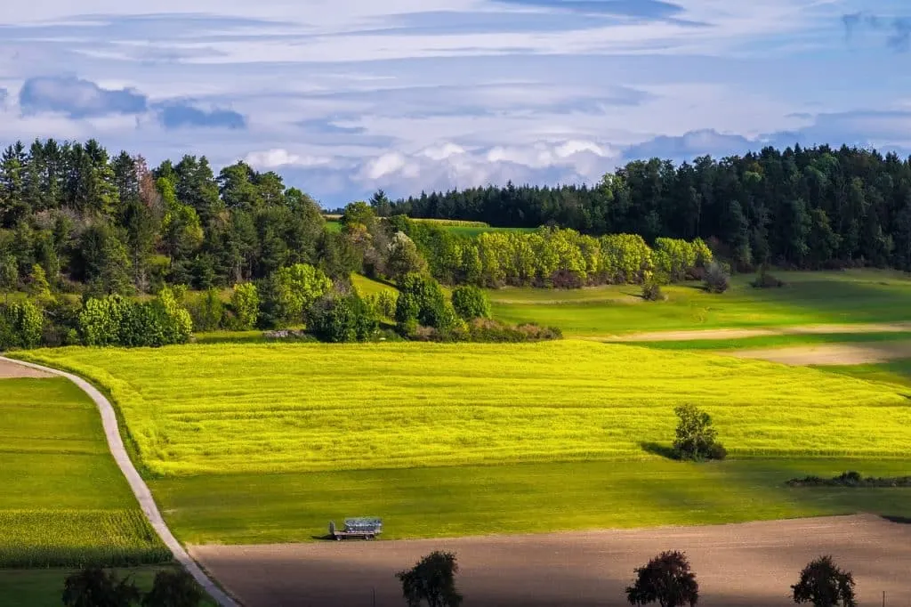 découvrez le monde fascinant de l'écologie, une science qui explore les interactions entre les organismes vivants et leur environnement. apprenez comment préserver la biodiversité, réduire notre empreinte carbone et promouvoir un développement durable pour un avenir meilleur.