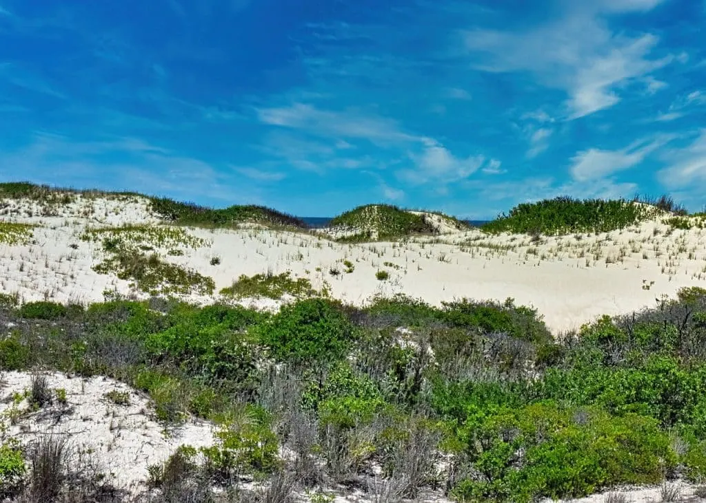 découvrez le delaware, un état riche en histoire et en culture, connu pour ses magnifiques plages, ses charmantes villes et son ambiance accueillante. explorez les attractions locales, la gastronomie savoureuse et les activités de plein air qui font du delaware une destination idéale pour une escapade.