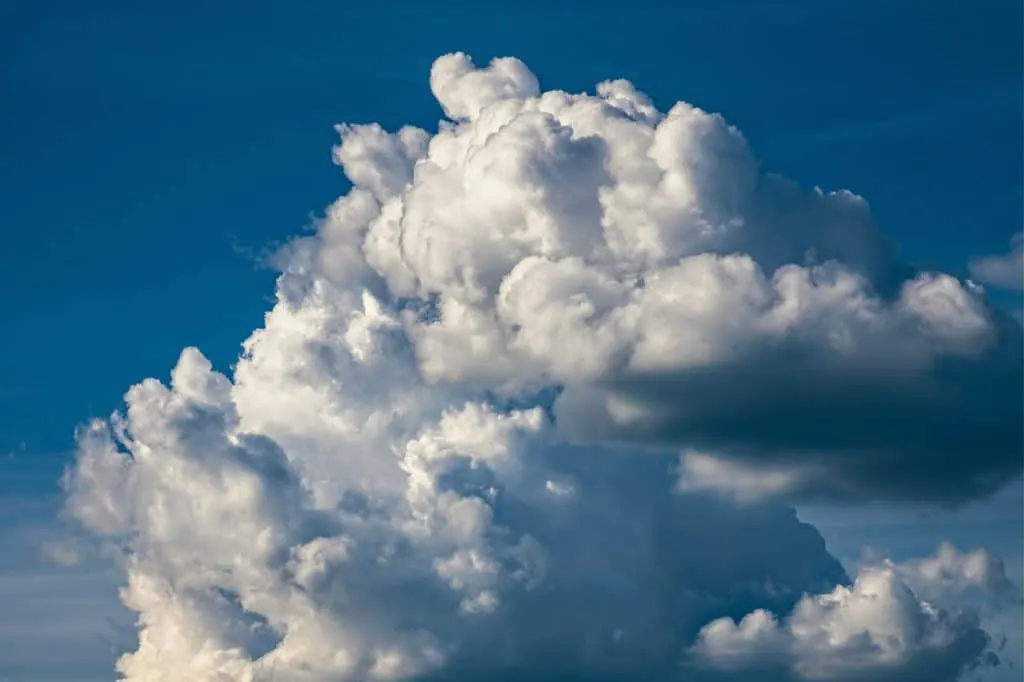 découvrez comment la transition climatique façonne notre avenir et les actions essentielles pour un monde durable. adoptez des solutions innovantes, réduisez votre empreinte carbone et participez à la lutte contre le changement climatique.