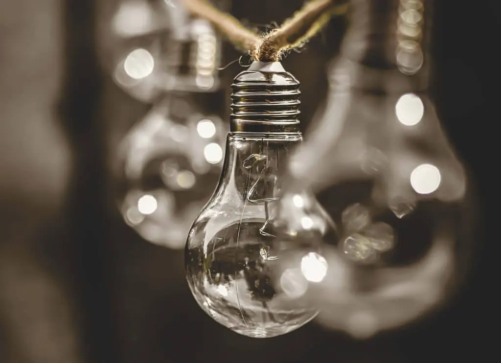 découvrez les enjeux de la durabilité, explorez des pratiques écoresponsables et engagez-vous pour un avenir durable. informez-vous sur les initiatives et solutions qui préservent notre planète pour les générations futures.