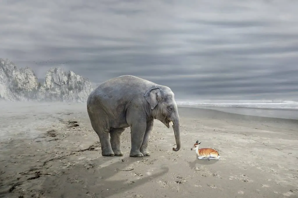 découvrez l'impact des actions humaines sur notre planète et comment chacun peut contribuer à un changement positif. informez-vous sur les enjeux environnementaux, sociaux et économiques qui façonnent notre avenir.