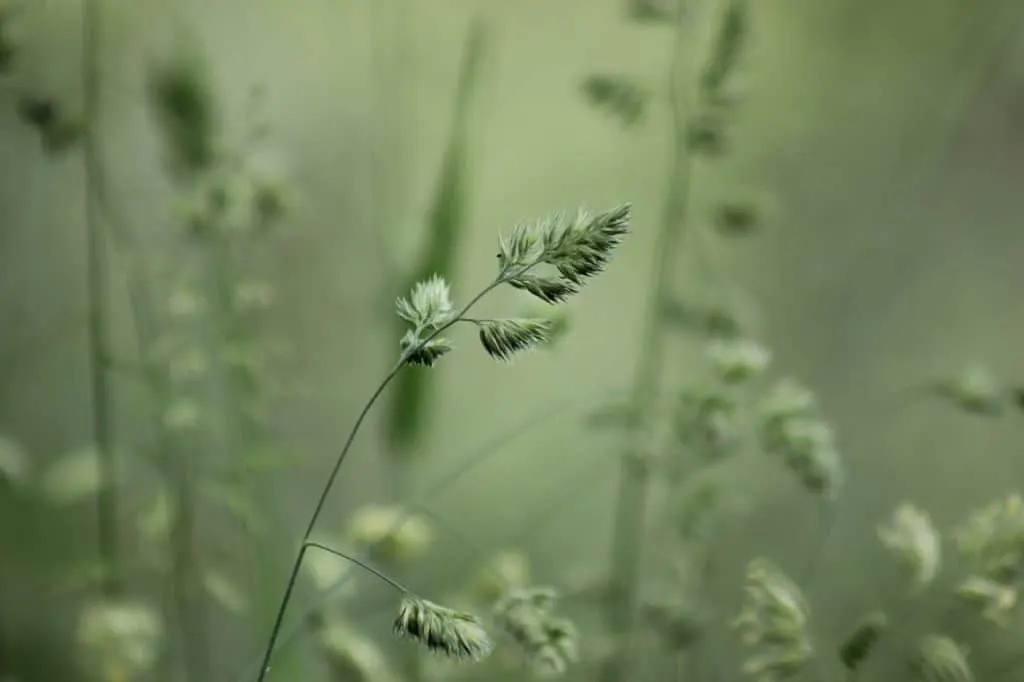 découvrez l'eau de source : pureté et bienfaits naturels, idéale pour s'hydrater tout en préservant votre santé. apprenez-en davantage sur ses origines, ses propriétés et comment l'intégrer dans votre quotidien.