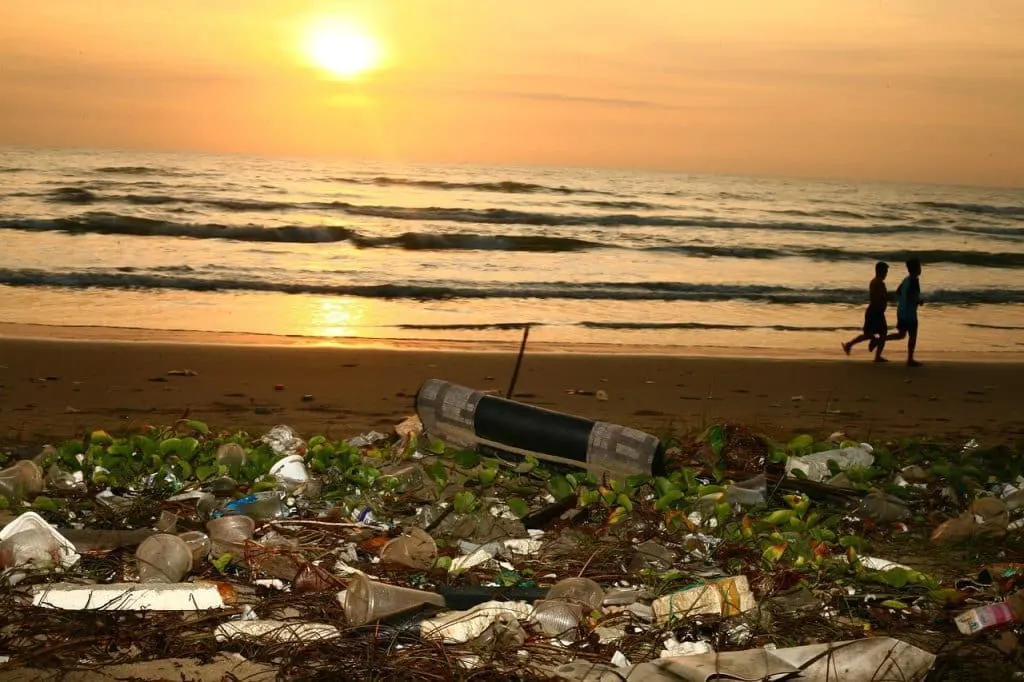 découvrez les différentes formes de contamination, leurs causes et leurs conséquences sur l'environnement et la santé humaine. informez-vous sur les solutions pour prévenir et réduire la pollution dans notre quotidien.