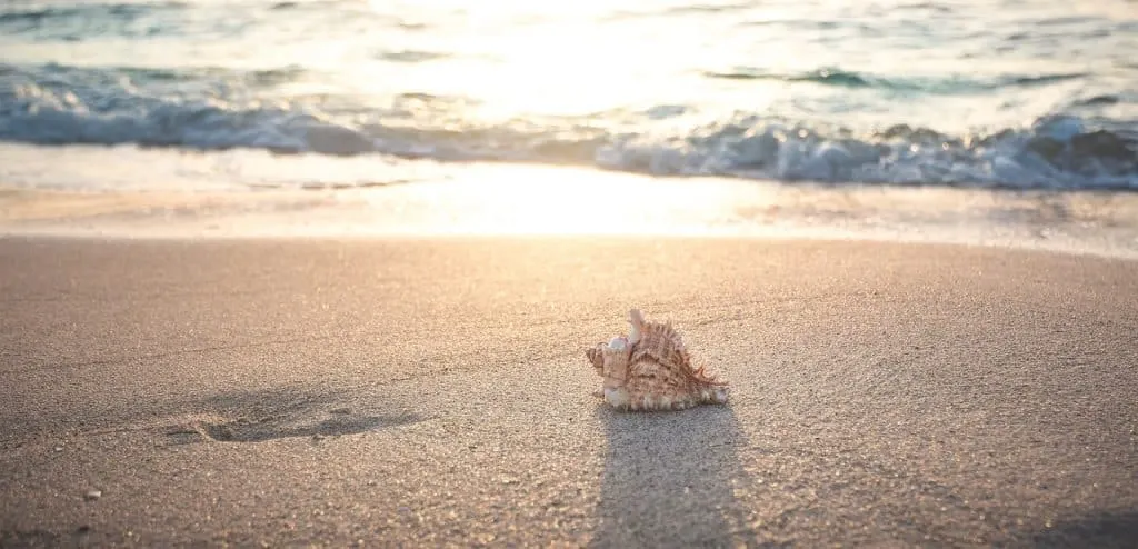 découvrez nos idées pour des vacances inoubliables ! que vous cherchiez à vous détendre sur une plage ensoleillée, à explorer des paysages montagneux ou à vous immerger dans des cultures fascinantes, trouvez la destination idéale pour vos prochaines aventures. profitez de conseils pratiques et d'astuces pour organiser vos séjours en toute sérénité.