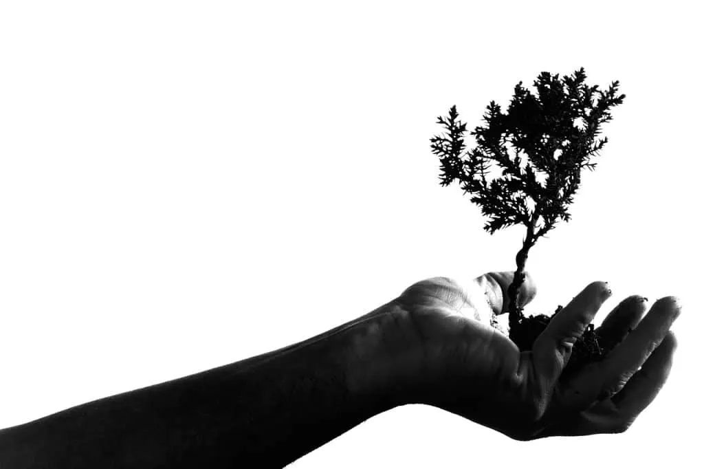 découvrez les stratégies et les conseils indispensables pour stimuler la croissance de votre entreprise. apprenez à optimiser vos ressources et à saisir de nouvelles opportunités pour développer votre activité de manière durable.