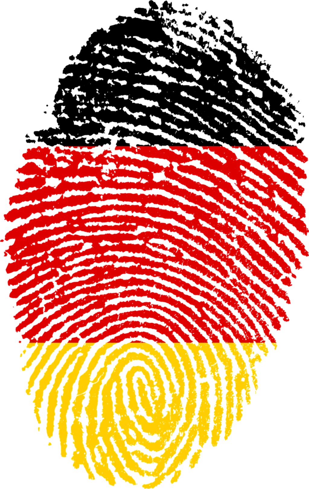 découvrez tout ce que vous devez savoir sur la citoyenneté : définitions, enjeux, processus d'acquisition et responsabilités. explorez les différents types de citoyenneté et leur importance dans notre société moderne.