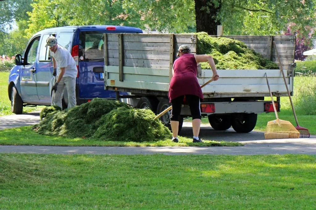 découvrez l'art du landscaping : transformez votre extérieur en un espace harmonieux et esthétique. inspirez-vous de nos conseils pour embellir votre jardin, créer des allées et choisir les plantes idéales pour un environnement enchanteur.