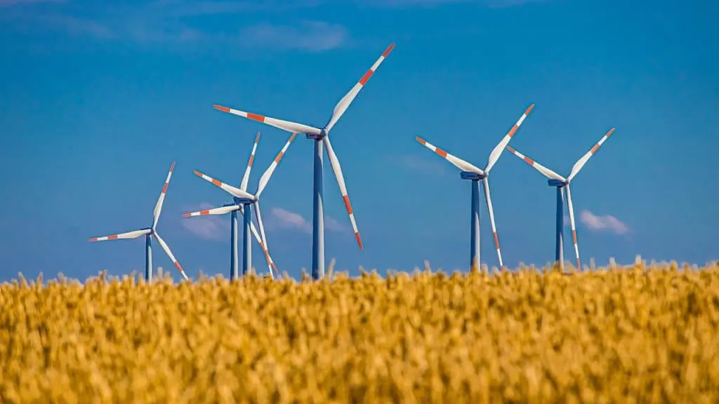 découvrez le monde de l'alimentation durable, une approche qui allie santé, respect de l'environnement et pratiques éthiques. apprenez comment choisir des aliments qui nourrissent votre corps tout en préservant notre planète pour les générations futures.