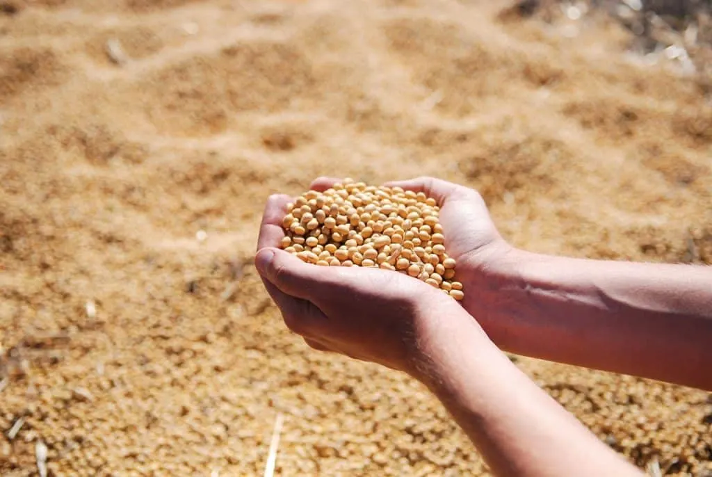 découvrez l'univers de l'agro-alimentaire, un secteur clé qui allie agriculture et transformation des aliments, mettant en avant les innovations, la durabilité et la sécurité alimentaire. plongez dans les tendances et les enjeux qui façonnent notre alimentation.