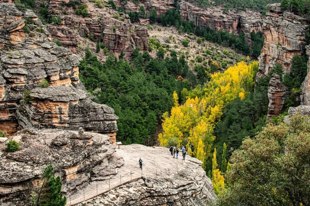 découvrez l'univers de la foresterie : techniques de gestion durable des forêts, biodiversité, conservation des ressources naturelles et rôle crucial des forêts dans la lutte contre le changement climatique.