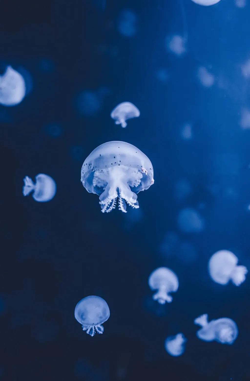 explorez l'exploitation minière en haute mer : techniques, enjeux environnementaux et perspectives économiques de l'extraction des ressources profondes sous-marines.