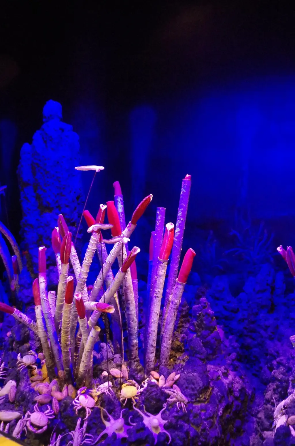 découvrez nos services d'aménagement paysager pour transformer votre jardin en un espace extérieur magnifique et fonctionnel.