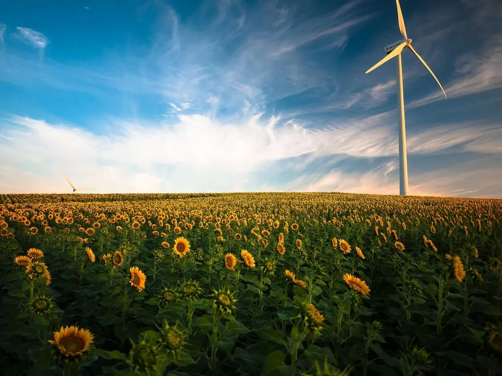 découvrez tout sur les éoliennes : fonctionnement, avantages, impact environnemental et innovations dans le domaine de l'énergie éolienne.