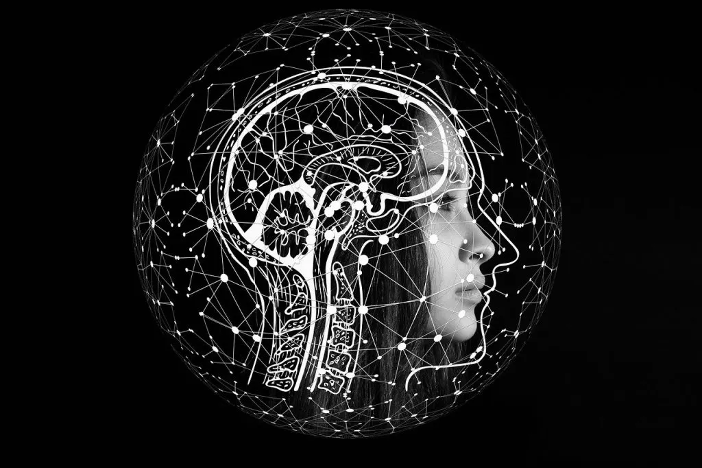 découvrez l'intelligence artificielle : technologies innovantes, applications pratiques et impact sur notre quotidien.