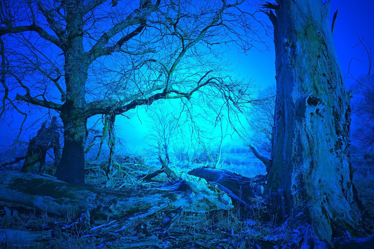 découvrez les mystères entourant le concept de secret et plongez dans un univers intrigant où la discrétion et la confidentialité prennent tout leur sens. explorez les différentes facettes des secrets, des plus innocents aux plus profonds, et apprenez à gérer les informations cachées avec sagesse.