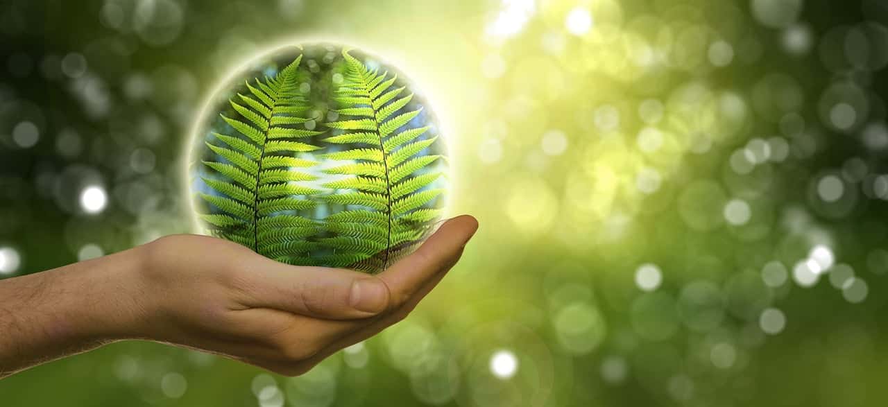 découvrez les accusations environnementales qui secouent le monde actuel. analysez les enjeux écologiques, les responsabilités des industrialistes et les impacts sur notre planète, tout en explorant les solutions possibles pour un avenir durable.