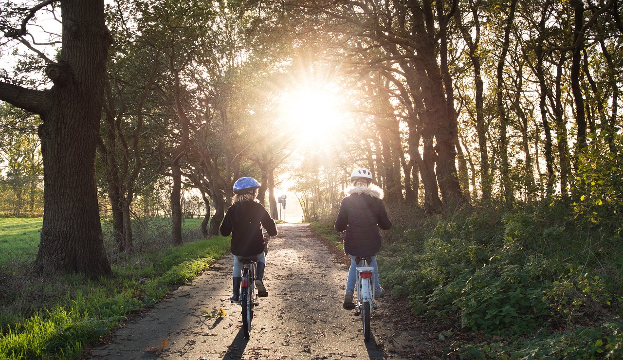 découvrez des conseils essentiels sur la sécurité routière pour garantir des trajets plus sûrs. apprenez les meilleures pratiques pour réduire les risques d'accidents et protéger les conducteurs, piétons et cyclistes sur la route.