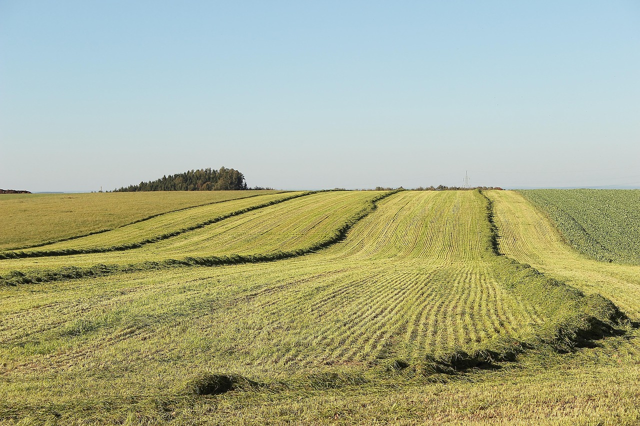 découvrez les enjeux de l'appropriation des terres, un sujet clé en matière de développement durable et de droits fonciers. explorez les différentes facettes de cette pratique et son impact sur les communautés et l'environnement.
