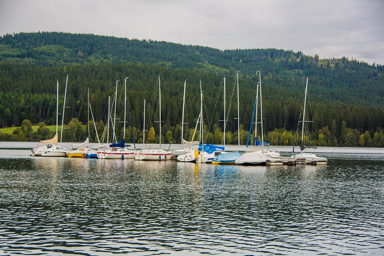découvrez le concept d'ancrage territorial, une approche essentielle pour comprendre comment les communautés et les individus se lient à leur environnement, favorisant ainsi le développement durable et la cohésion sociale. explorez les enjeux et les avantages de cette notion dans un monde en constante évolution.