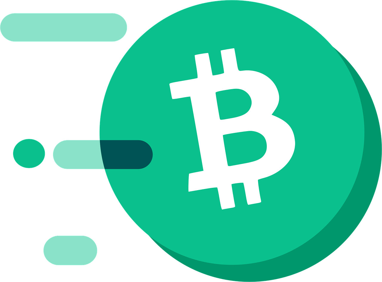 découvrez tout ce qu'il faut savoir sur le bitcoin : fonctionnement, avantages, risques et conseils pour investir ou utiliser cette crypto-monnaie leader du marché.