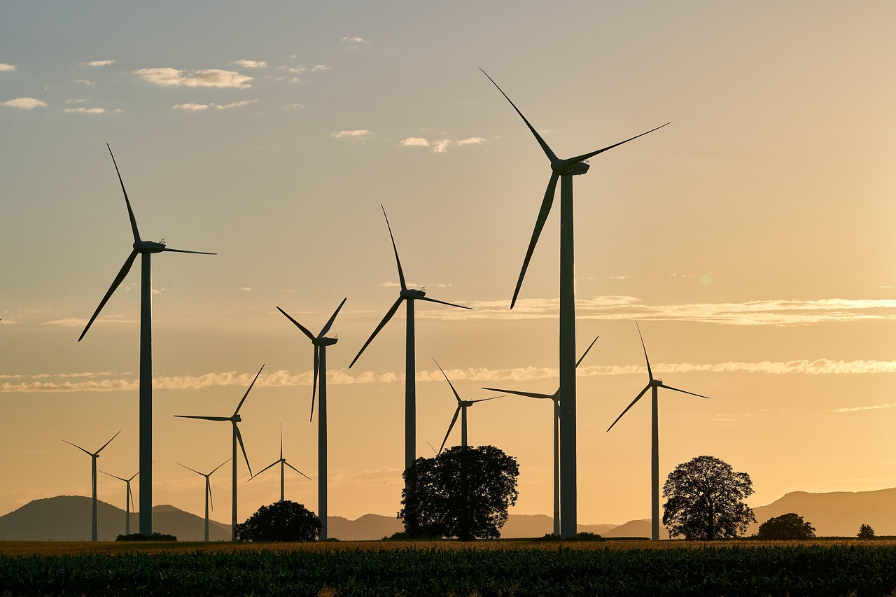 découvrez sustainable alliance, une initiative dédiée à la promotion de pratiques durables et responsables pour un avenir respectueux de l’environnement.