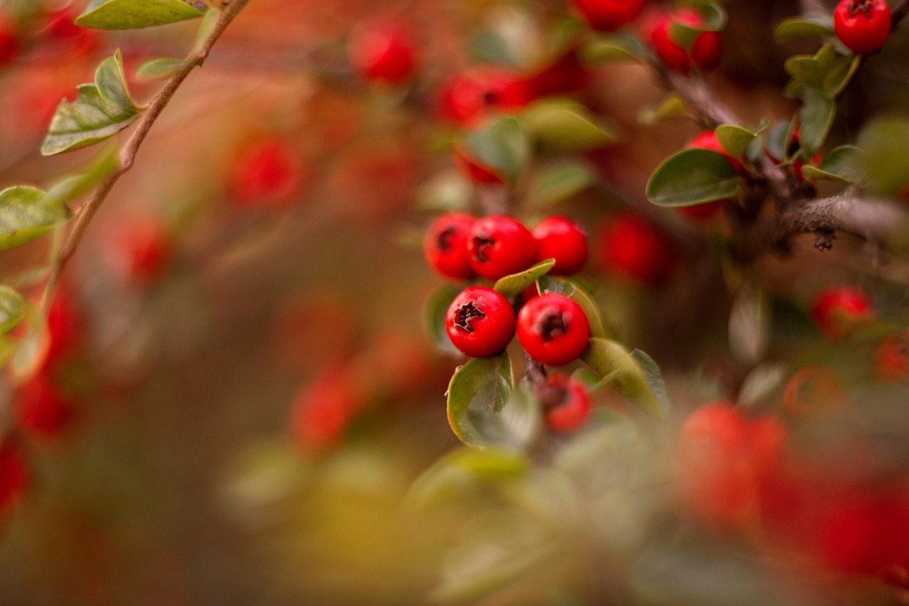 découvrez les stratégies et conseils pour stimuler la croissance personnelle et professionnelle, optimiser vos performances et atteindre vos objectifs avec succès.