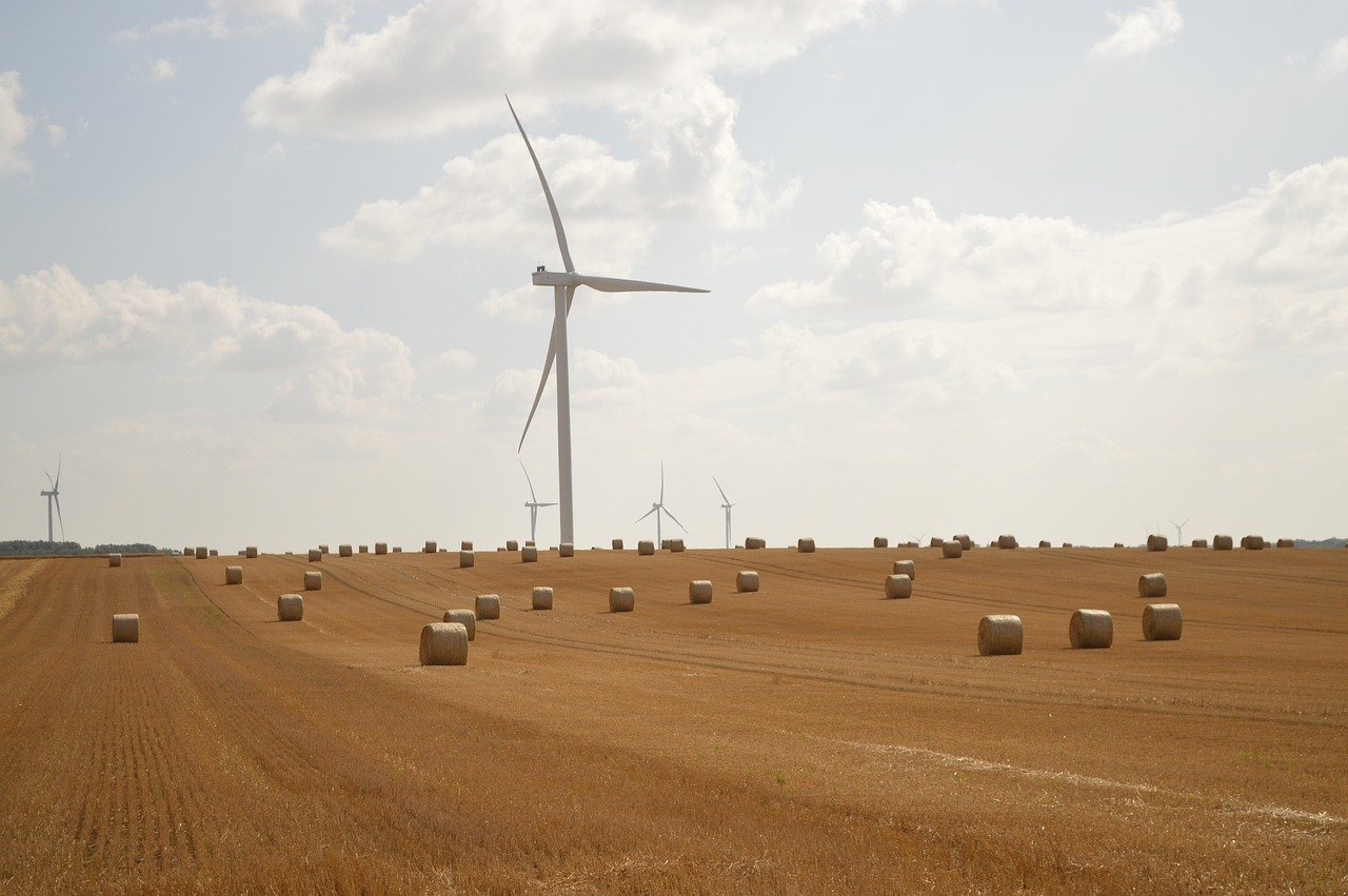 découvrez notre partenariat durable, axé sur la responsabilité environnementale et la collaboration à long terme pour un avenir meilleur.