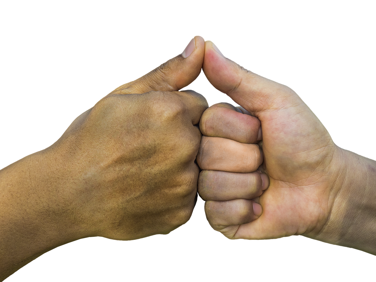 découvrez un accompagnement prometteur pour les pme, avec des solutions innovantes et un soutien personnalisé pour favoriser leur croissance et leur réussite.