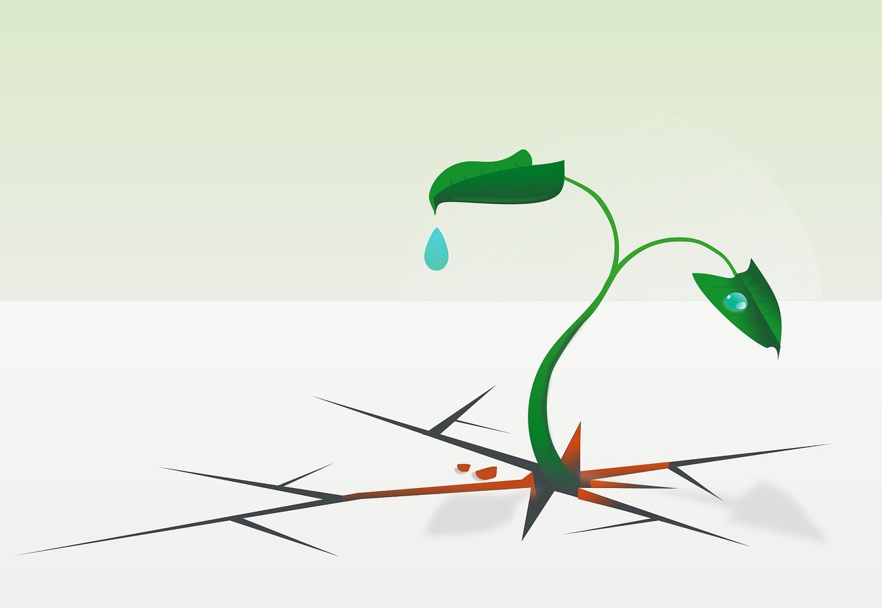 découvrez comment renforcer la résilience des entreprises régionale pour mieux affronter les défis économiques et assurer une croissance durable.