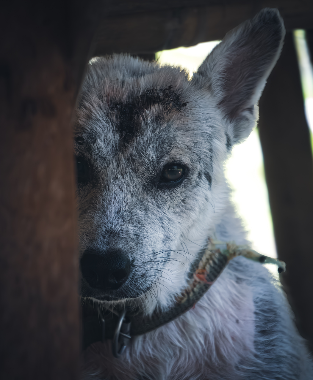 découvrez comment gérer efficacement les périodes de difficultés financières et opérationnelles pour redresser votre entreprise et assurer sa pérennité.