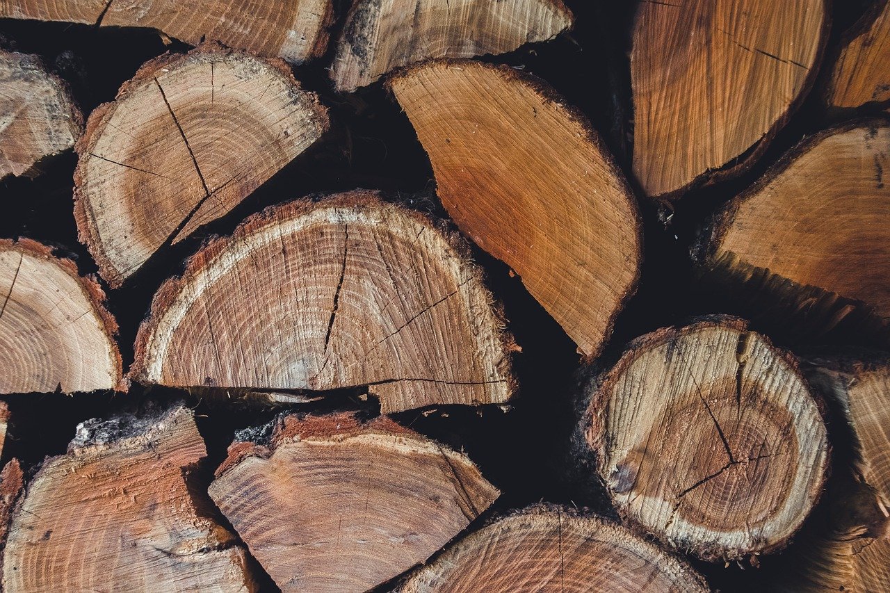 découvrez les causes, les conséquences et les solutions possibles à la déforestation, un enjeu majeur pour l'environnement et la biodiversité.