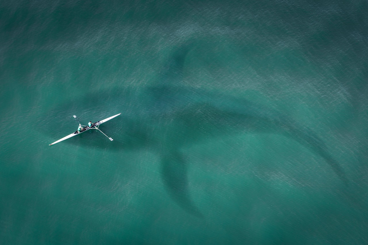 découvrez les meilleures techniques et astuces pour la pêche en kayak, alliant aventure et tranquillité au cœur de la nature.