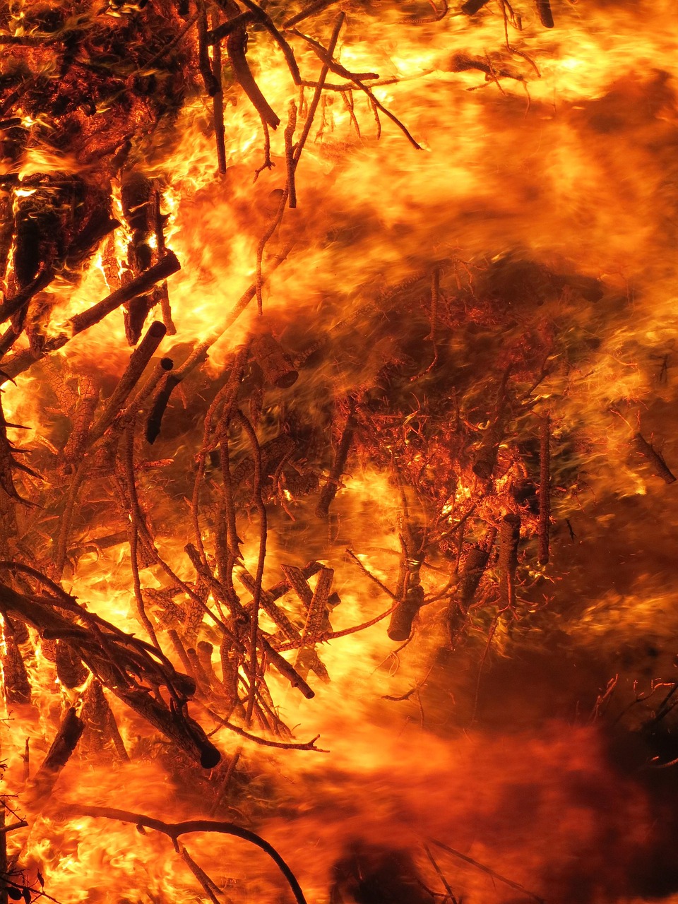 découvrez tout sur les incendies de forêt : causes, prévention, impacts environnementaux et mesures de sécurité essentielles.