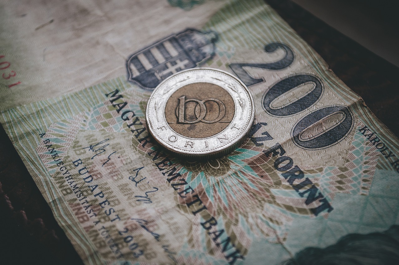 découvrez les entreprises hongroises : un aperçu des secteurs clés, des opportunités d'affaires et de l'économie dynamique de la hongrie.