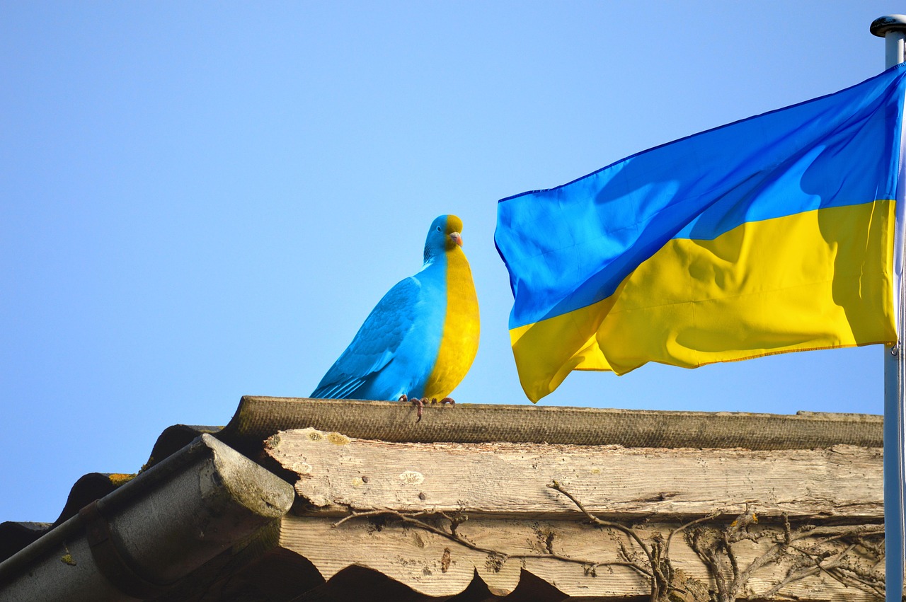 analyse des offensives ukrainiennes : stratégies, évolutions et impacts sur le conflit en cours.